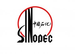 中國石化用泵指南